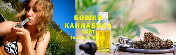 гидра Ладушкин