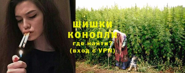 гидра Ладушкин