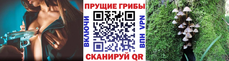MEGA ссылки  Лиски  Псилоцибиновые грибы мицелий 